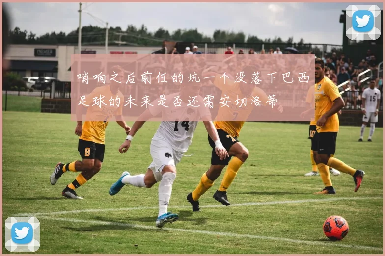 哨响之后前任的坑一个没落下巴西足球的未来是否还需安切洛蒂